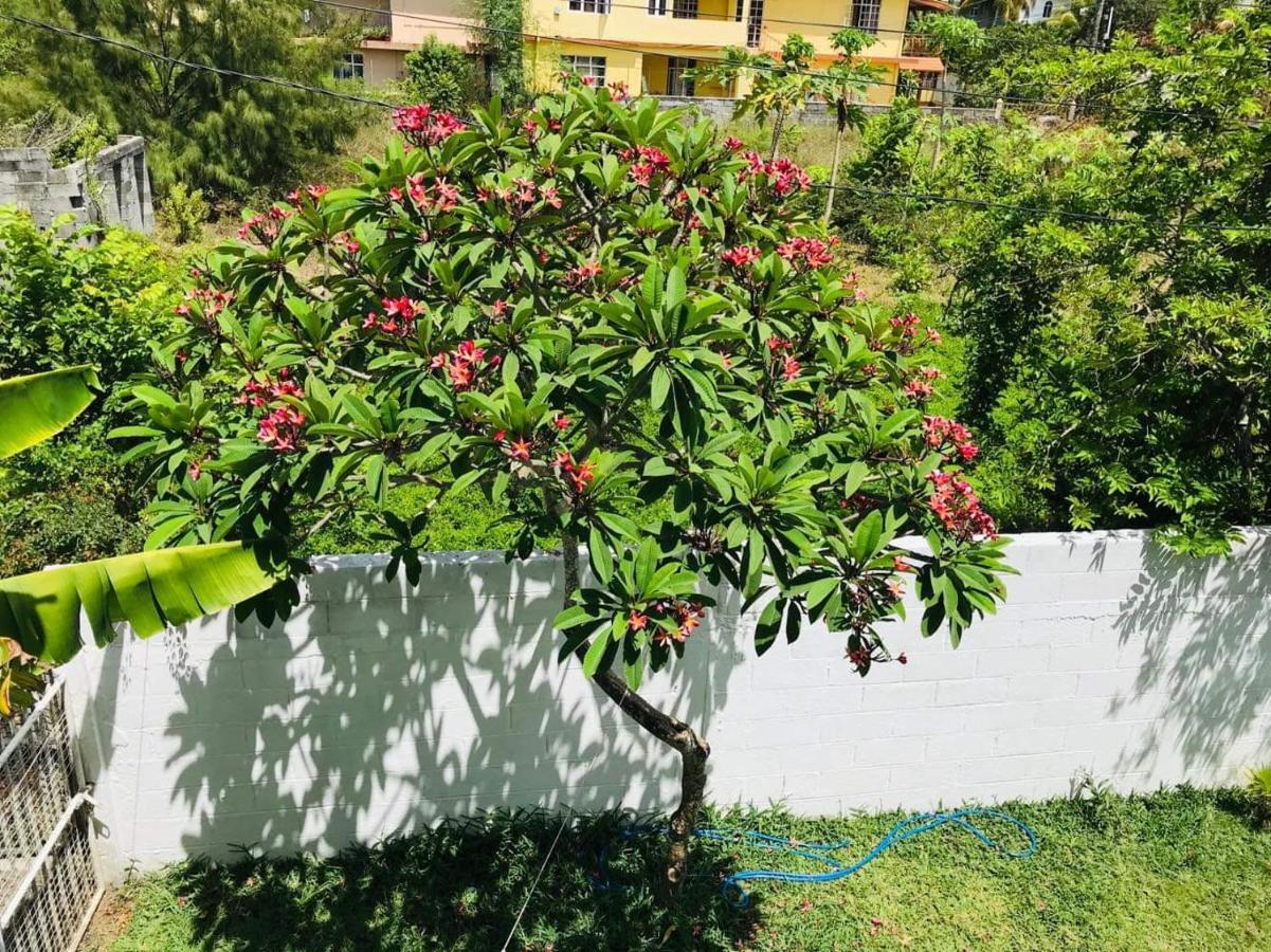 Breeze Du Nord Villa Grand Bay Ngoại thất bức ảnh